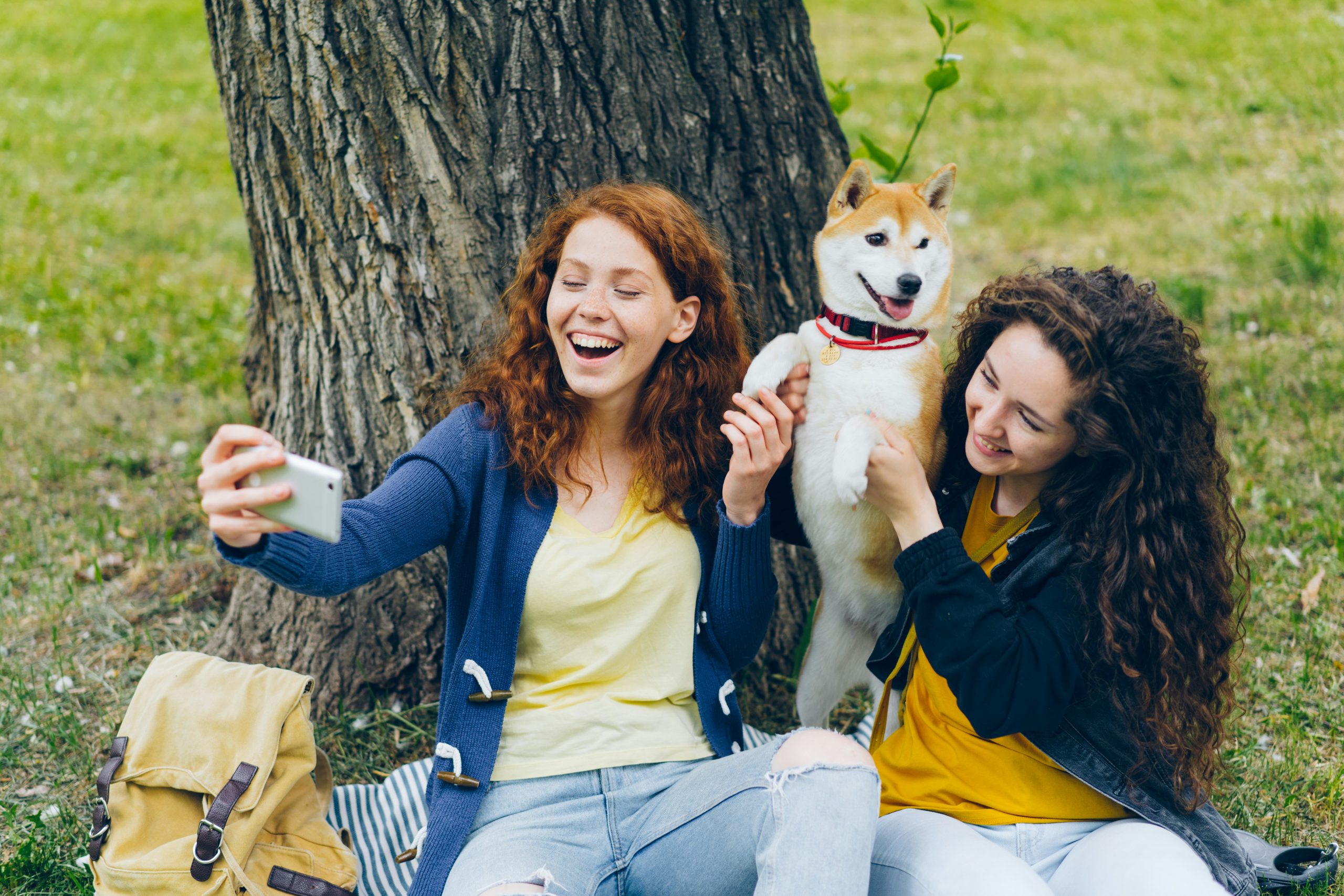 Outdoor Dog Meetups: Join Fun Social Events for You and Your Pup