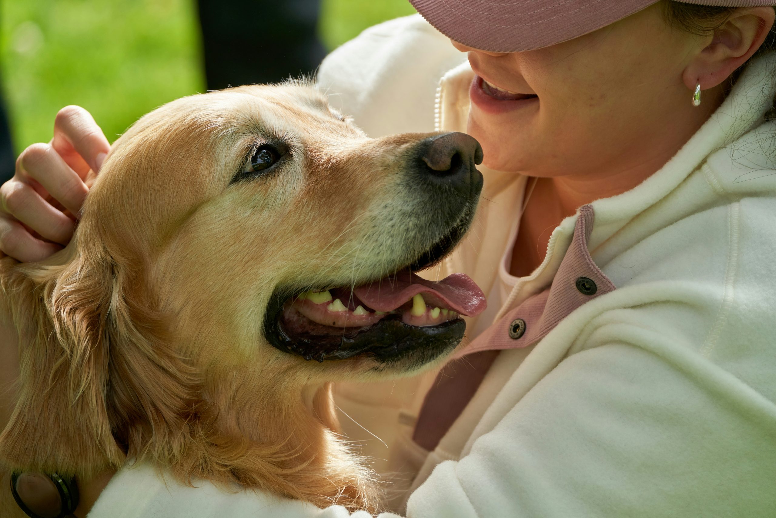 Daily Dog Care Routine for New Owners