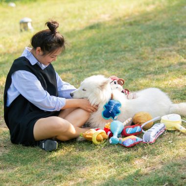 Keep Your Pet Safe: Home First Aid Kits for Pets
