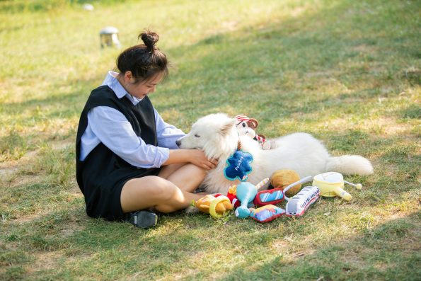First Aid for Pet Heatstroke: Keep Your Pet Safe Outdoors