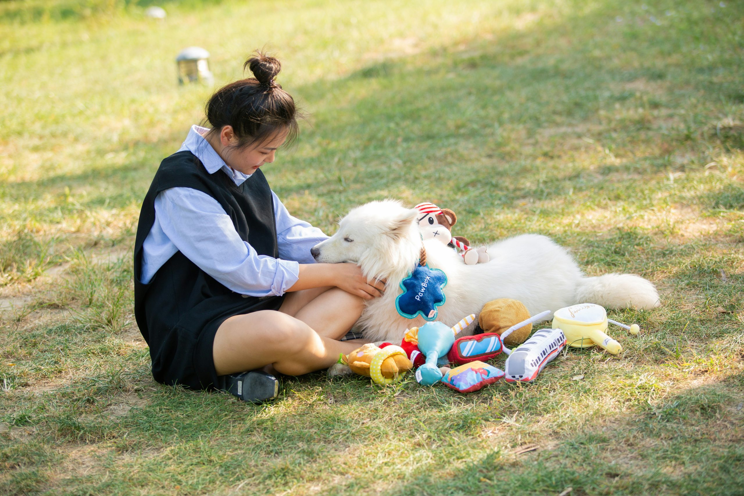 First Aid for Pet Heatstroke: Keep Your Pet Safe Outdoors