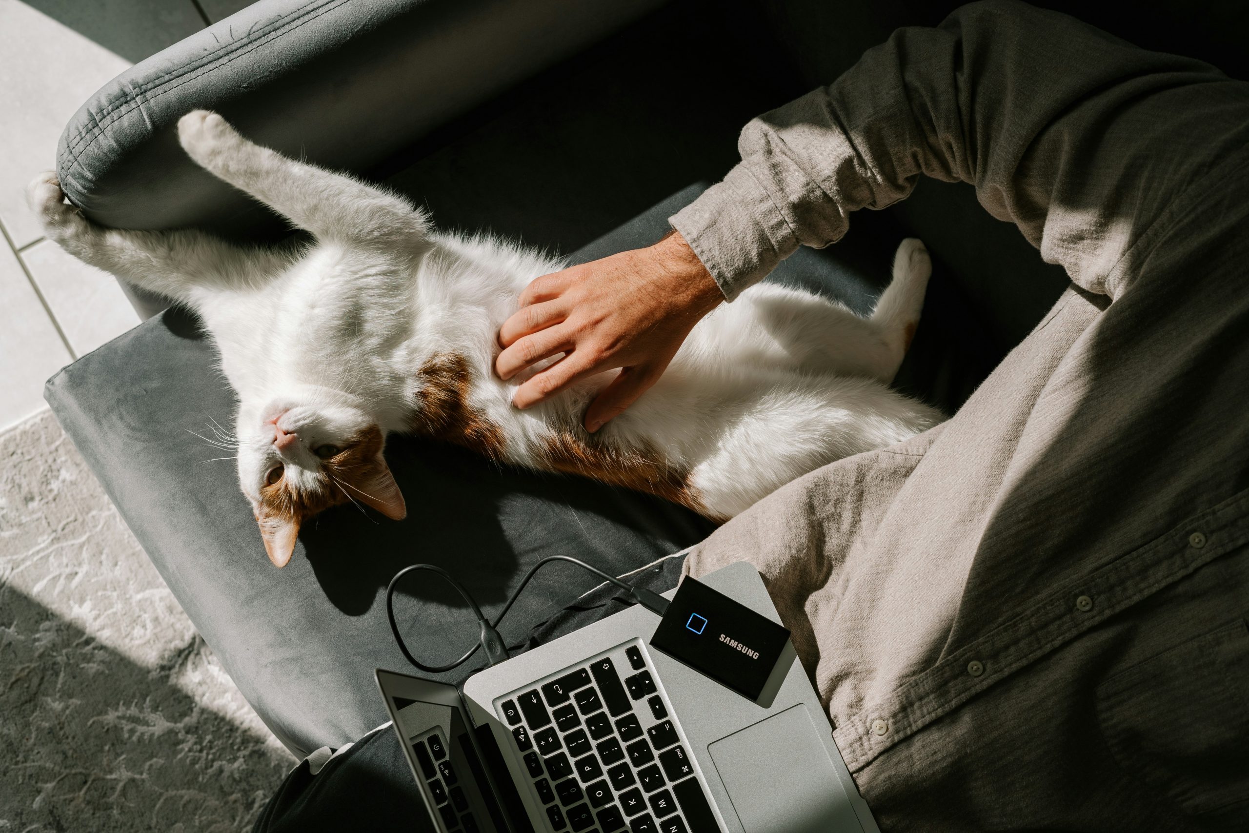 How to Own a Pet While Working