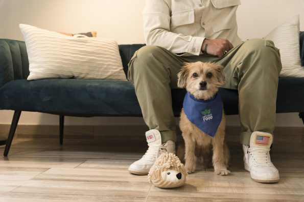 Keep Your Pet Safe: Home First Aid Kits for Pets
