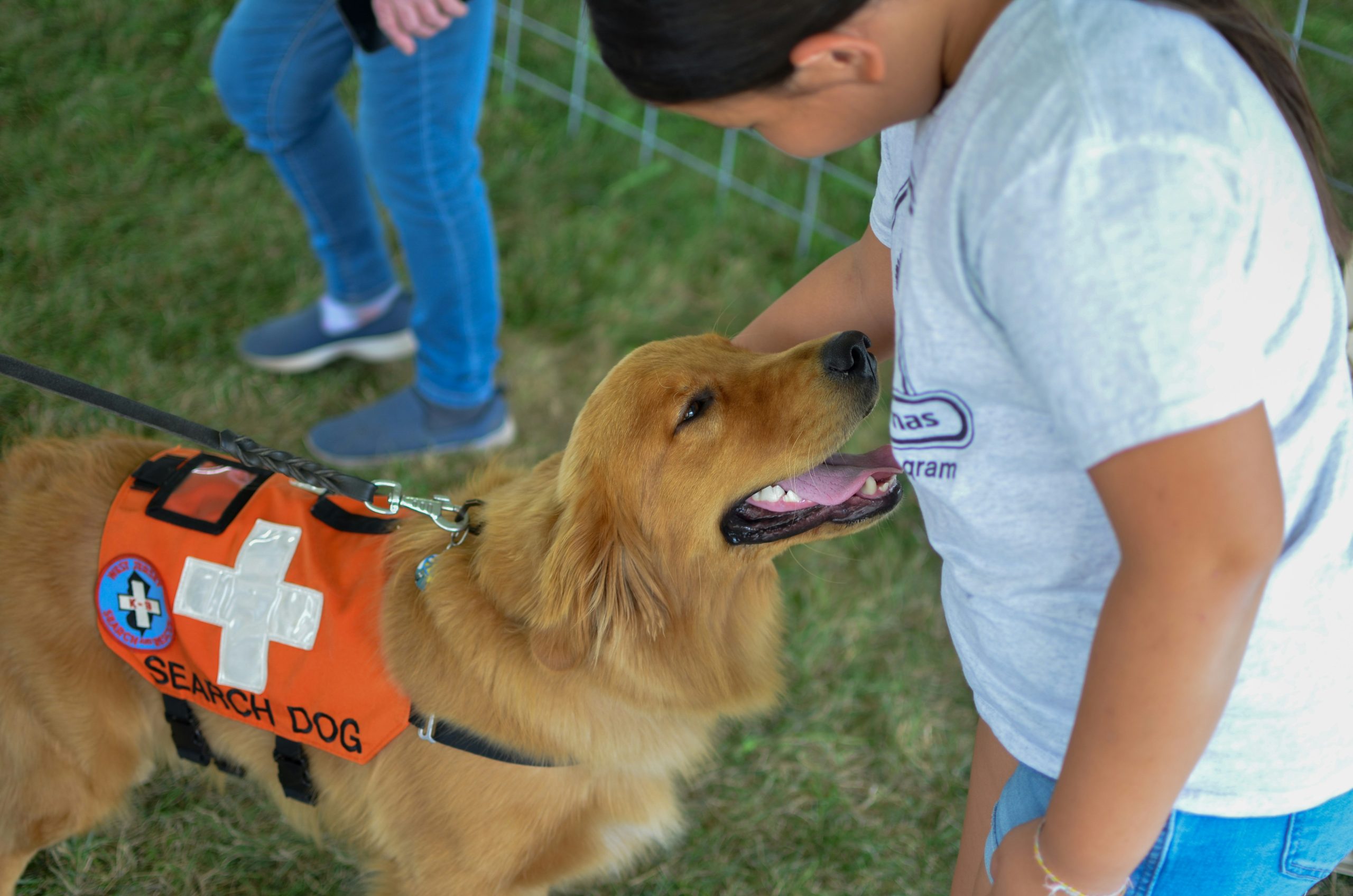 Preparing an Emergency Pet Pack