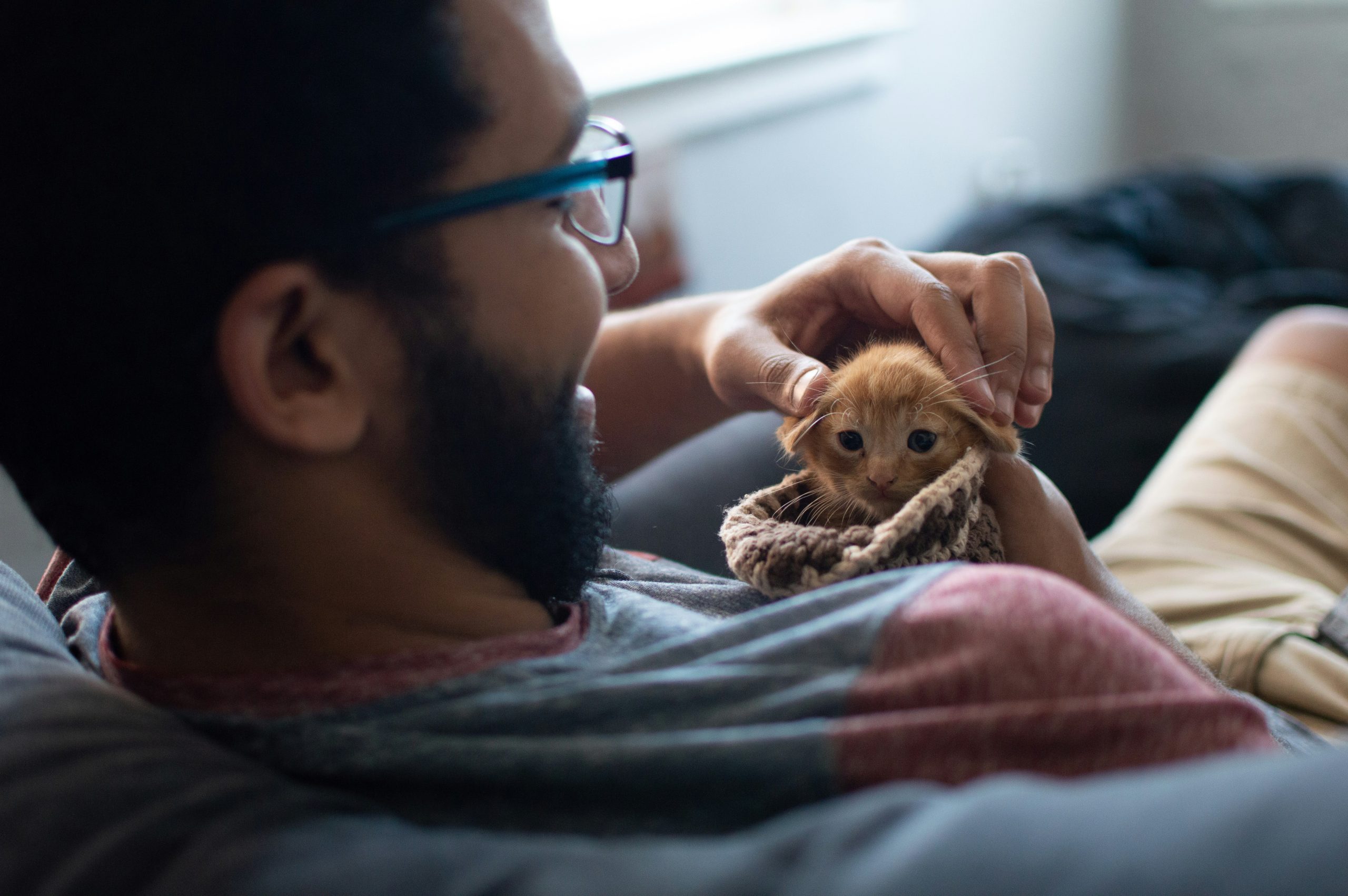What to Prepare for Your First Pet Ownership